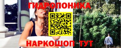 PSILOCYBIN Кандалакша